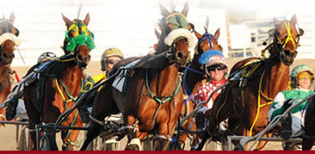 Harness Racing Online – Australian Harness Racing